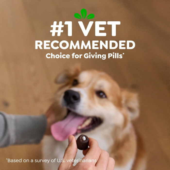 Greenies Pill Pockets for Dogs Large Dog Treat Pouch for Capsule Medication Peanut Butter 15.8 oz. Pouch