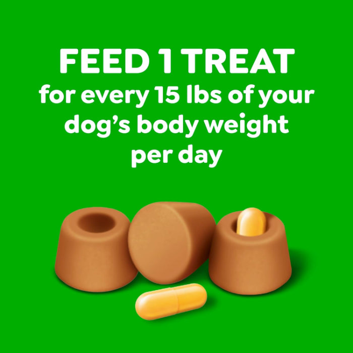 Greenies Pill Pockets for Dogs Large Dog Treat Pouch for Capsule Medication Peanut Butter 15.8 oz. Pouch