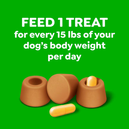 Greenies Pill Pockets for Dogs Large Dog Treat Pouch for Capsule Medication Peanut Butter 15.8 oz. Pouch